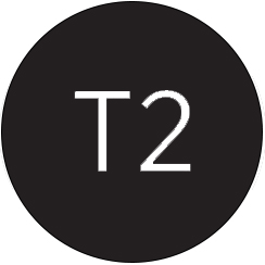 T2